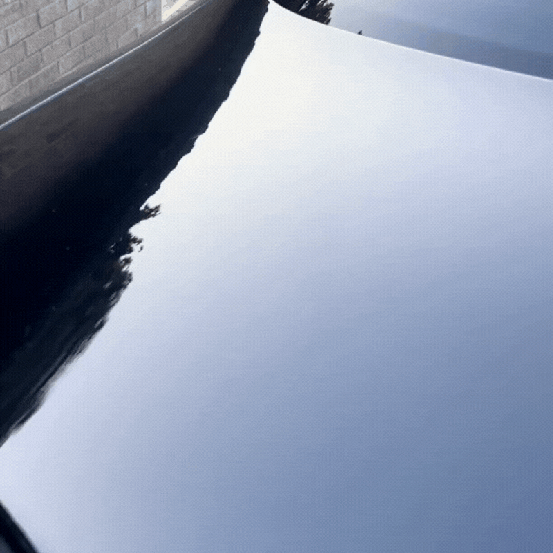 Lymlex-visuals.gif__PID:79f7d9fe-e3b1-42a2-bd15-125dc92b0fe1